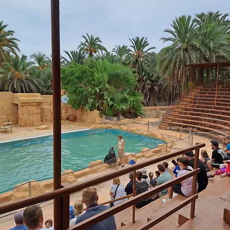 Timi Near Center And * تورّيفيِخا