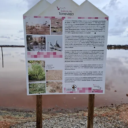 Timi Near Center And * تورّيفيِخا