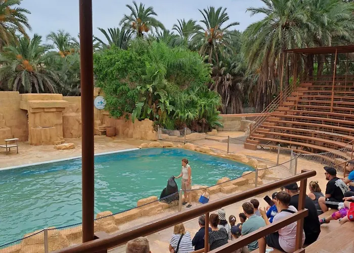 Timi Near Center And * Torrevieja