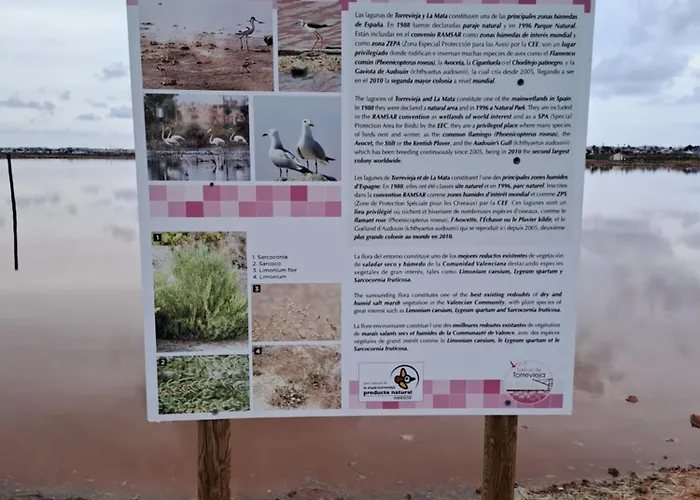 Timi Near Center And * Torrevieja