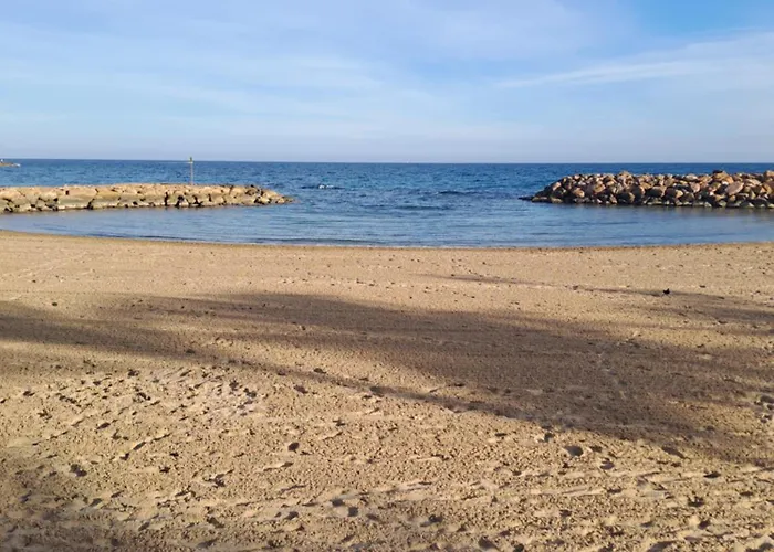 Timi Near Center And Torrevieja