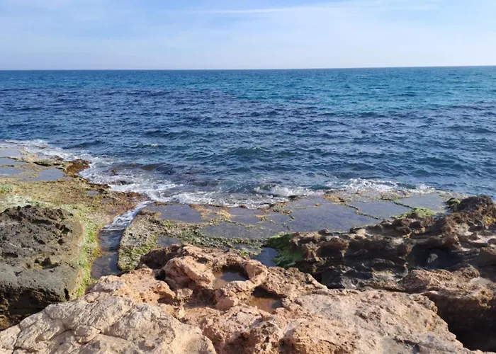 Timi Near Center And Torrevieja