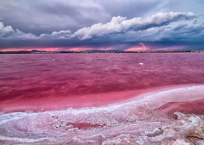 Timi Near Center And Apartamento *