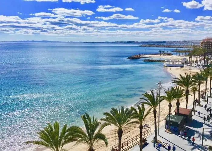 Timi Near Center And Torrevieja