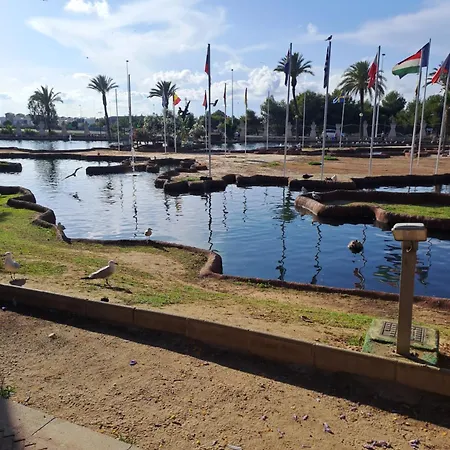 Timi Near Center And Daire *