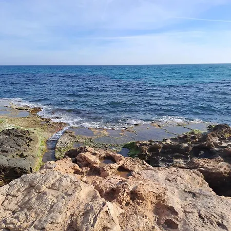 Timi Near Center And Torrevieja