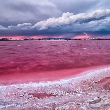 Timi Near Center And Daire *