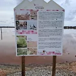 Timi Near Center And * Торевьиа